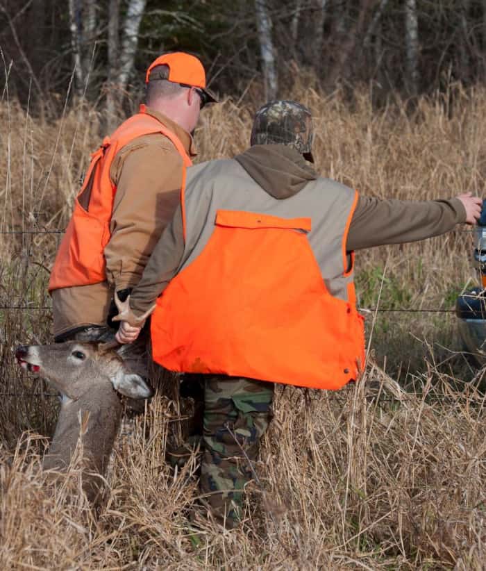 Can Deer See Hunter Orange